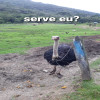 Dezenrolando